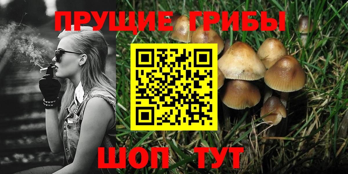 Псилоцибиновые грибы GOLDEN TEACHER Соликамск